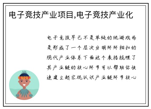 电子竞技产业项目,电子竞技产业化